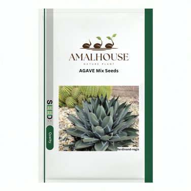 AGAVE Mix - 20 PCS Seeds