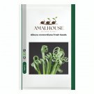 Albuca concordiana Fresh - 10 PCS Seeds