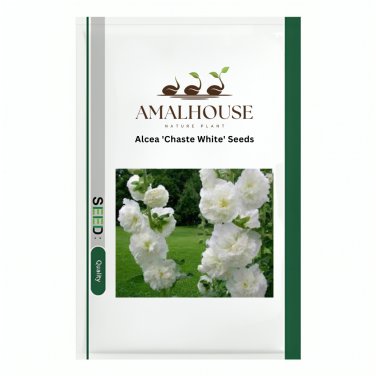 Alcea 'Chaste White' - 100 PCS Seeds