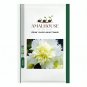 Alcea 'Junle Lemon' - 100 PCS Seeds