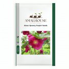 Alcea 'Queeny Purple' - 100 PCS Seeds