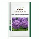 Allium giganteum Flower Mixed - 100 PCS Seeds