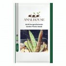 ALOE burgersfortensis Garden Plants - 10 PCS Seeds