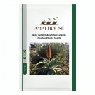 Aloe candelabrum Succulents Garden Plants - 10 PCS Seeds