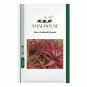 Aloe chabaudii - 10 PCS Seeds