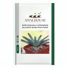 ALOE compressa v schistophylla Succulents Garden Plants - 10 PCS Seeds