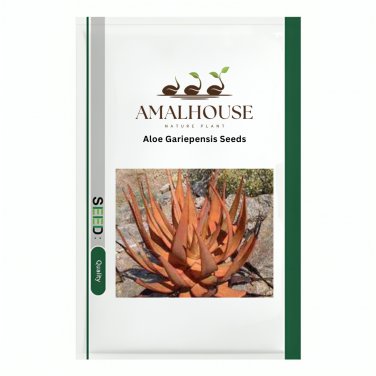 Aloe Gariepensis - 10 PCS Seeds