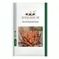 Aloe Gariepensis - 10 PCS Seeds