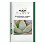 ALOE Hereroensis Succulents Garden Plants - 10 PCS Seeds
