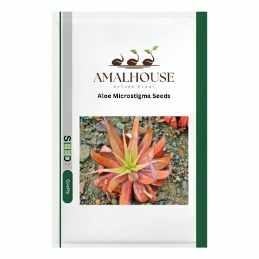 Aloe Microstigma - 15 PCS Seeds