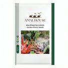 Aloe Mixed Succulents Garden Plants - 10 PCS Seeds