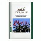 Aloe petricola Succulents Garden Plants - 10 PCS Seeds