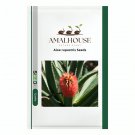 Aloe rupestris - 10 PCS Seeds