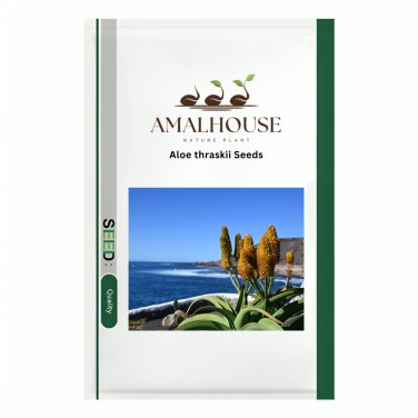 Aloe thraskii - 10 PCS Seeds