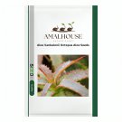 Aloe Vanbalenii Octopus Aloe - 5 PCS Seeds