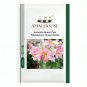 Amaryllis Bonsai Pots Hippeastrum Flowers - 100 PCS Seeds