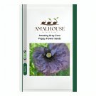 Amazing Grey Corn Poppy Flower - 100 PCS Seeds