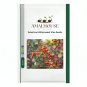 American Bittersweet Vine - 20 PCS Seeds