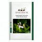 Andrographis Paniculata Green Chiretta - 50 PCS Seeds
