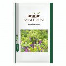 Angelica - 50 PCS Seeds