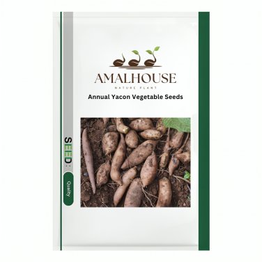 Annual Yacon Vegetable - 100 PCS Seeds