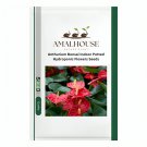 Anthurium Bonsai Indoor Potted Hydroponic Flowers - 120 PCS Seeds