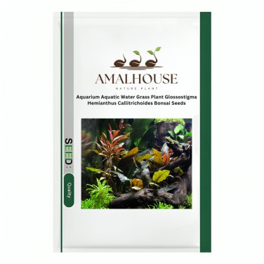 Aquarium Aquatic Water Grass Plant Glossostigma Hemianthus Callitrichoides Bonsai - 300 PCS Seeds