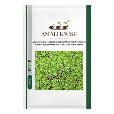Aquarium Glossostigma Hemianthus Callitrichoides Water Grass Mini Leaf Live Plant - 500 PCS Seeds