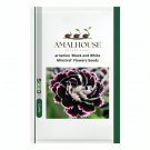 arnation 'Black and White Minstrel' Flowers - 20 PCS Seeds