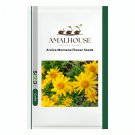 Arnica Montana Flower - 50 PCS Seeds