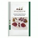 Aromatic Purple Perfection Dual-Sided Shiso - 1000 PCS Seeds