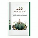 Astrophytum asterias OOIBO Nudum rare japan cactus - 10 PCS Seeds