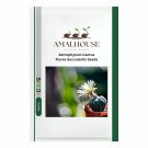 Astrophytum Cactus Flores Succulents - 200 PCS Seeds
