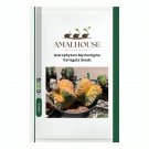 Astrophytum Myriostigma Variegata - 10 PCS Seeds