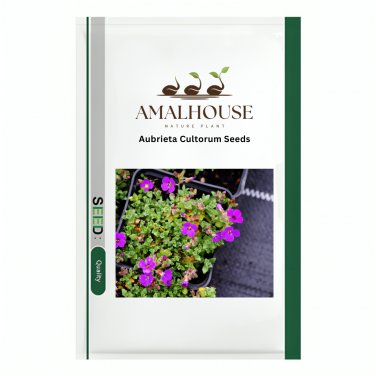 Aubrieta Cultorum - 100 PCS Seeds