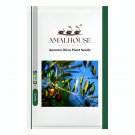 Autumn Olive Plant - 100 PCS Seeds