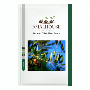 Autumn Olive Plant - 100 PCS Seeds