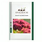 Autumn Joy Sedum - 100 PCS Seeds