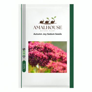 Autumn Joy Sedum - 100 PCS Seeds