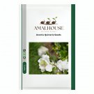 Avonia Quinaria - 5 PCS Seeds