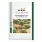 Aylostera Mix Rare Cactus Succulent Plants - 10 PCS Seeds