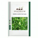 B0WIEA volubilis Fresh - 10 PCS Seeds