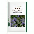 Barbed Skullcap - 50 PCS Seeds