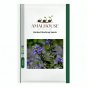 Barbed Skullcap - 50 PCS Seeds
