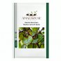 Basella alba Green Malabar spinach - 10 PCS Seeds