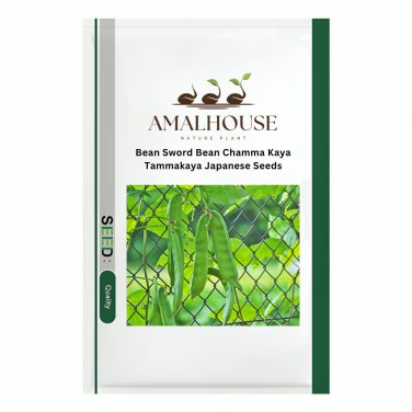 Bean Sword Bean Chamma Kaya Tammakaya Japanese - 50 PCS Seeds