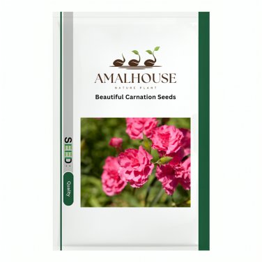 Beautiful Carnation - 200 PCS Seeds