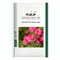 Beautiful Carnation - 200 PCS Seeds