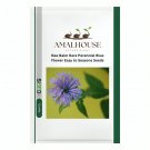 Bee Balm Rare Perennial Blue Flower Easy to Seasons - 200 PCS Seeds