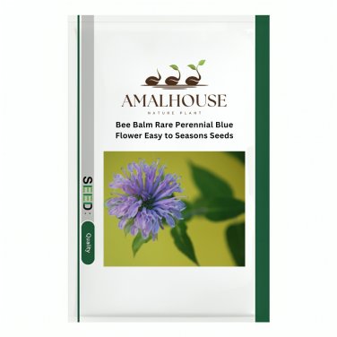 Bee Balm Rare Perennial Blue Flower Easy to Seasons - 200 PCS Seeds